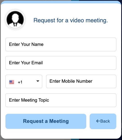 Video Meeting Interface